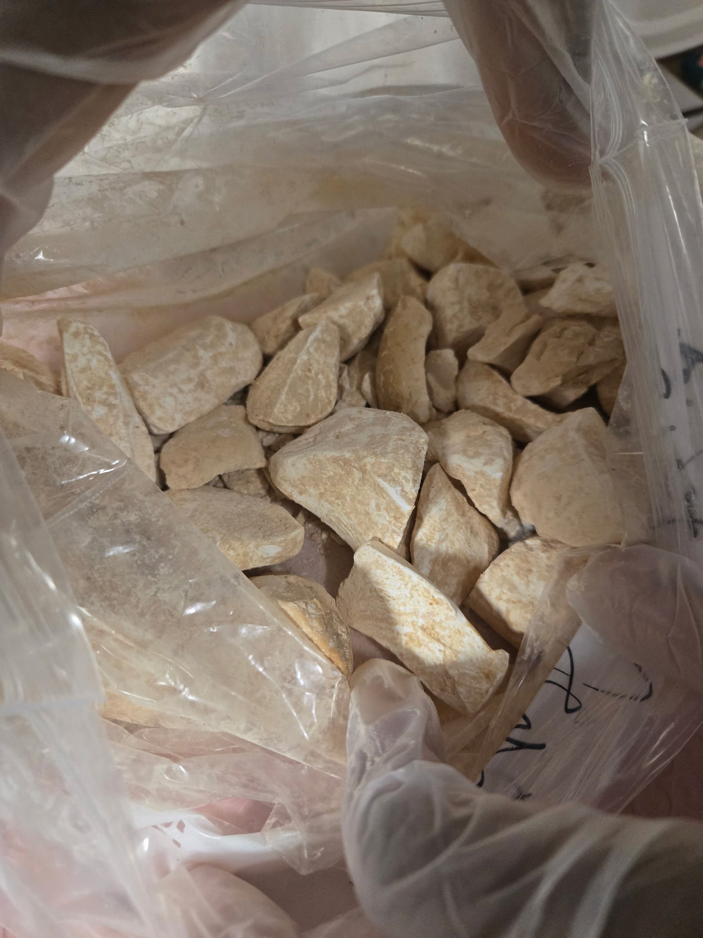 2 Xtra Toasty Grab N Gos 2 for $22